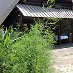 Dada Kanjon Grmusa *