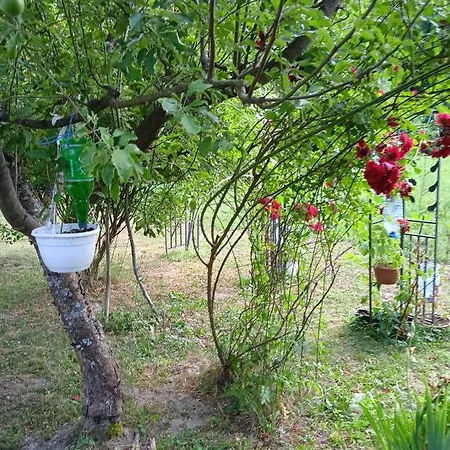 別荘 Dada Kanjon Grmusa Bihać