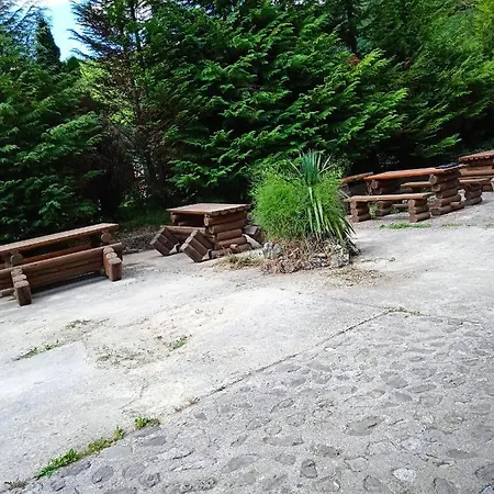 Dada Kanjon Grmusa *