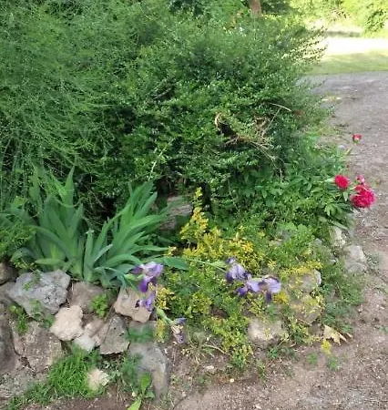 Holiday home Dada Kanjon Grmusa *