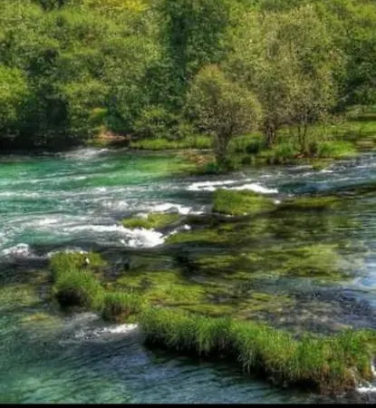 Dada Kanjon Grmusa *