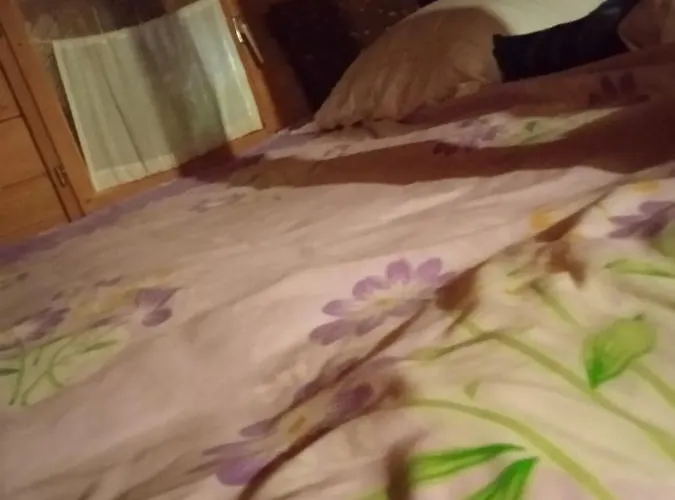 Casa de Férias Dada Kanjon Grmusa *