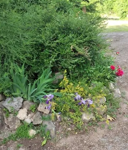 Casa de Férias Dada Kanjon Grmusa *