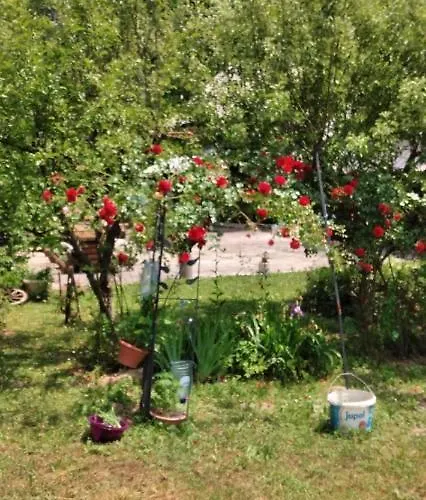 Dada Kanjon Grmusa Casa de Férias Bihać