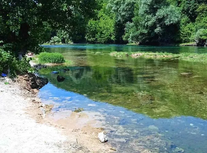 Dada Kanjon Grmusa *